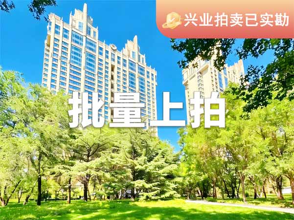批量上拍